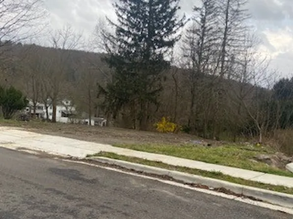 11 Old Deyo Hill Rd, Johnson City, NY 13790