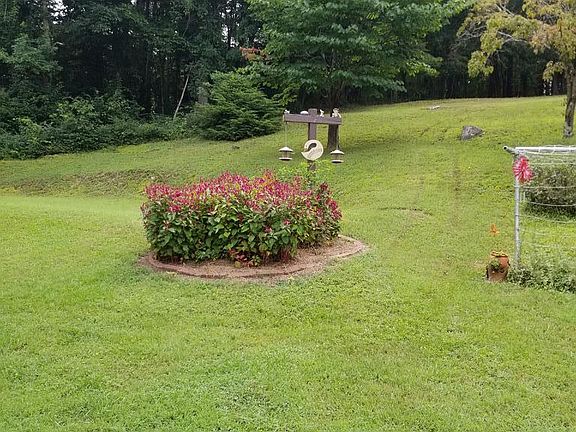 2nd image of 211 Piney Forest Dr