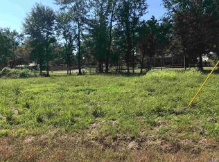 43029 Brittany Rd, Gonzales, LA 70737