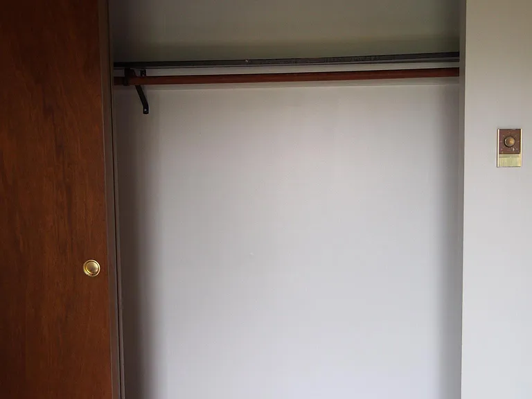 Closet master bedroom with new track light