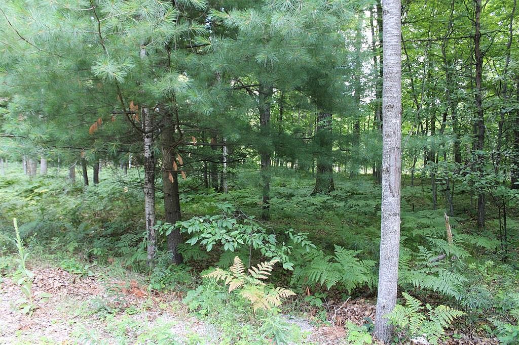 A S Hemlock, Lake, MI 48632 MLS 79080009756 Zillow