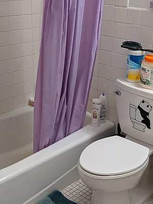 Rented by 18 REALTY | media 9