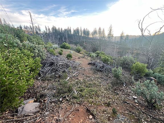 4th image of 16790 Starview Loop Rd