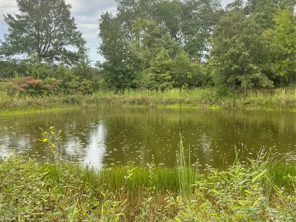 LOT 5 County Road 2310, Telephone, TX 75488