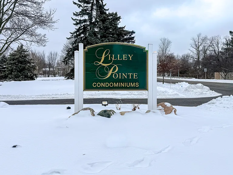 42739 Lilley Pointe Dr #119 — Photo 20