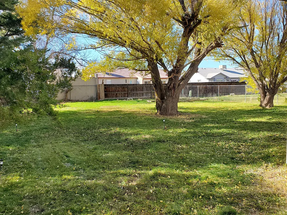 Back yard