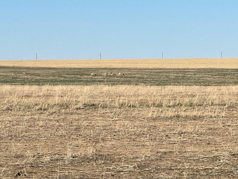 1st image of 100 4 Rd