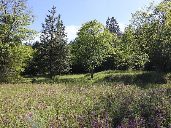 3rd image of 6746 Old Highway 99 S
