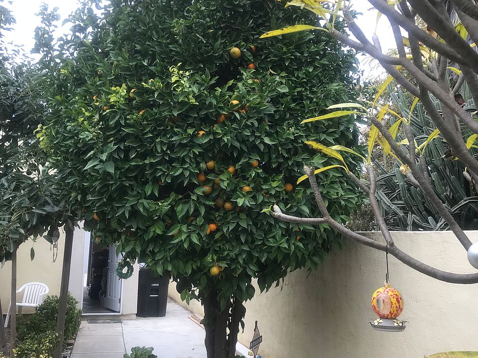 2nd image of 6025 Rugby Ave