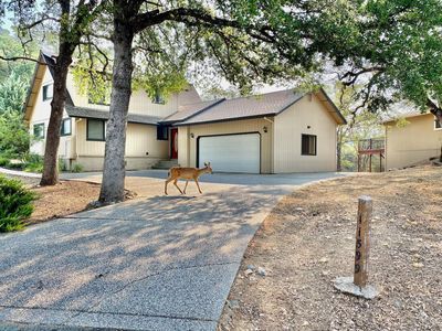11599 Linnet Ct, Penn Valley, CA, 95946
