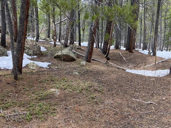3 Forest Service 409.2D Road, Black Hawk, CO 80422