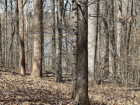 3rd image of 0 Waters Edge Ln Lot 12&13