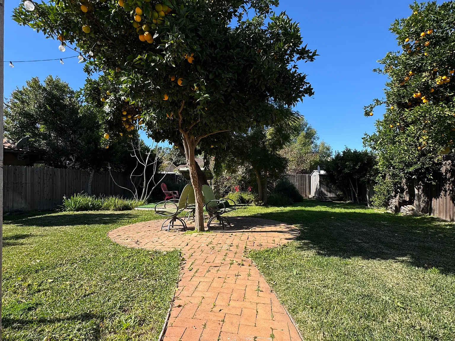 1 bed, 400 sqft, $1,500 — Photo 4