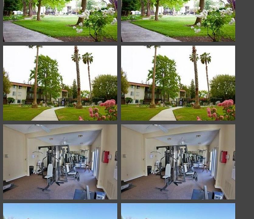 Gym and Garden