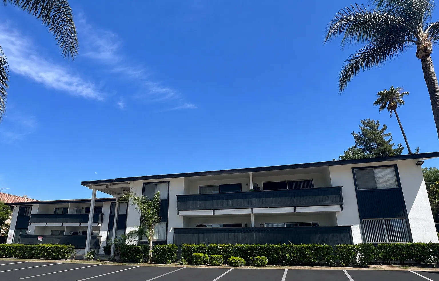 Palm Vista Apartments — Photo 2