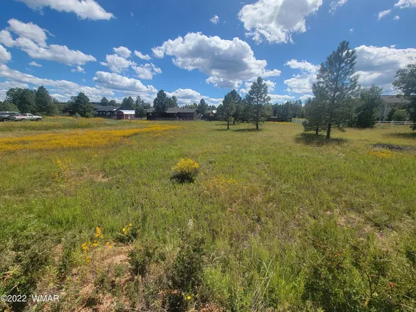 2277 Meadow Ln, Overgaard, AZ 85933