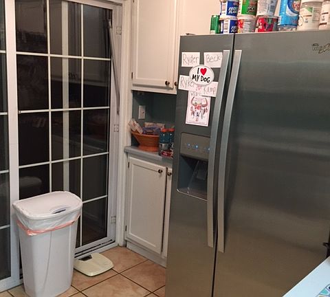 4th image of 1580 Us Highway 19 S APT 32