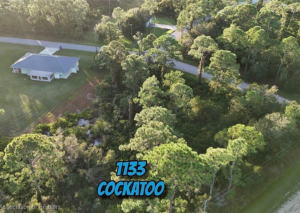 2nd image of 1133 Cockatoo Ave