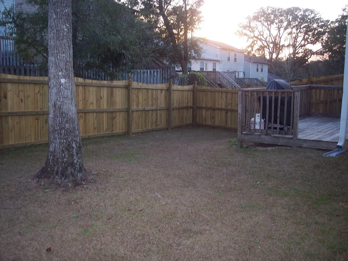 Backyard - 3473 Chatelaine Ct