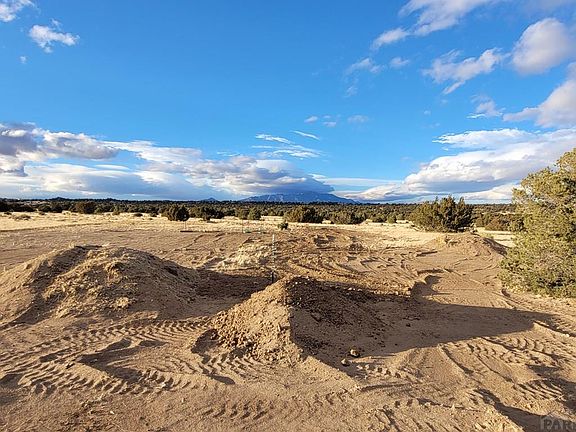 5th image of Huajatolla Blvd