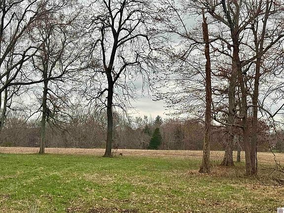 2nd image of 0 Bill Butler Rd