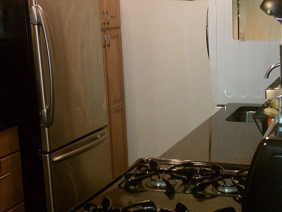 stainless steel, gas stove
