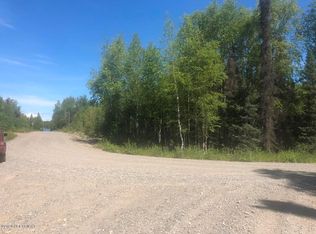 25171 W Sides Dr, Willow, AK 99688