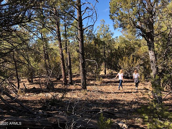 2nd image of 2306 THUNDERBIRD Circle #B1 & B2