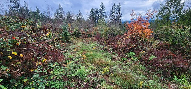 4th image of 0 E Twanoh Heights Road