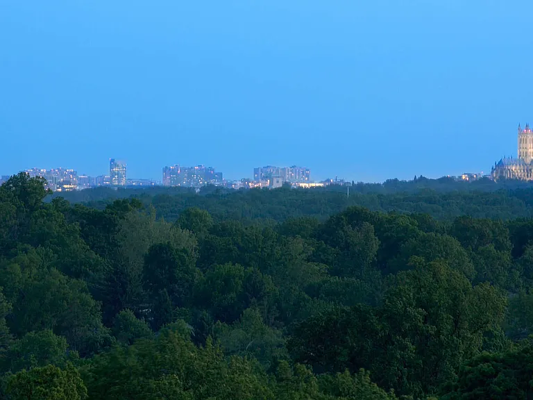 Views of City Skyline
