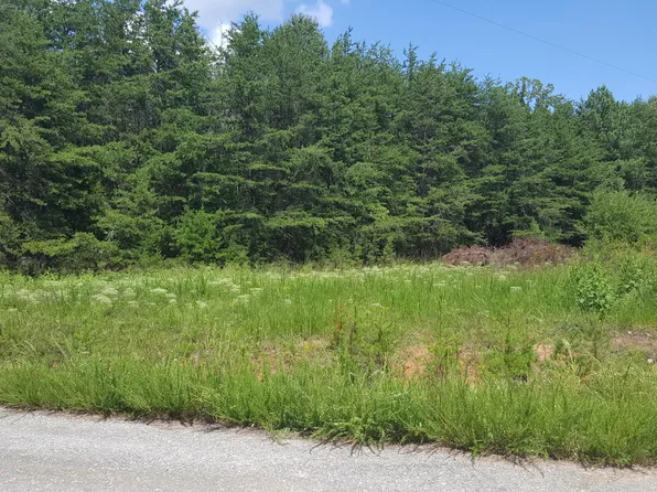 Old Farmhouse Dr, Moneta, VA 24121