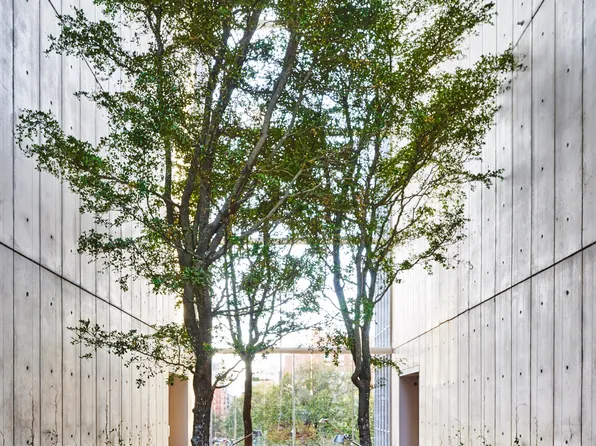 565 Broome Street image 12 of 19