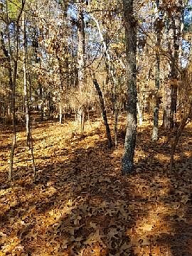 5th image of 130 Bellewood Dr