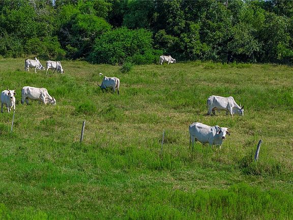 2nd image of 0 Black Bayou Rd