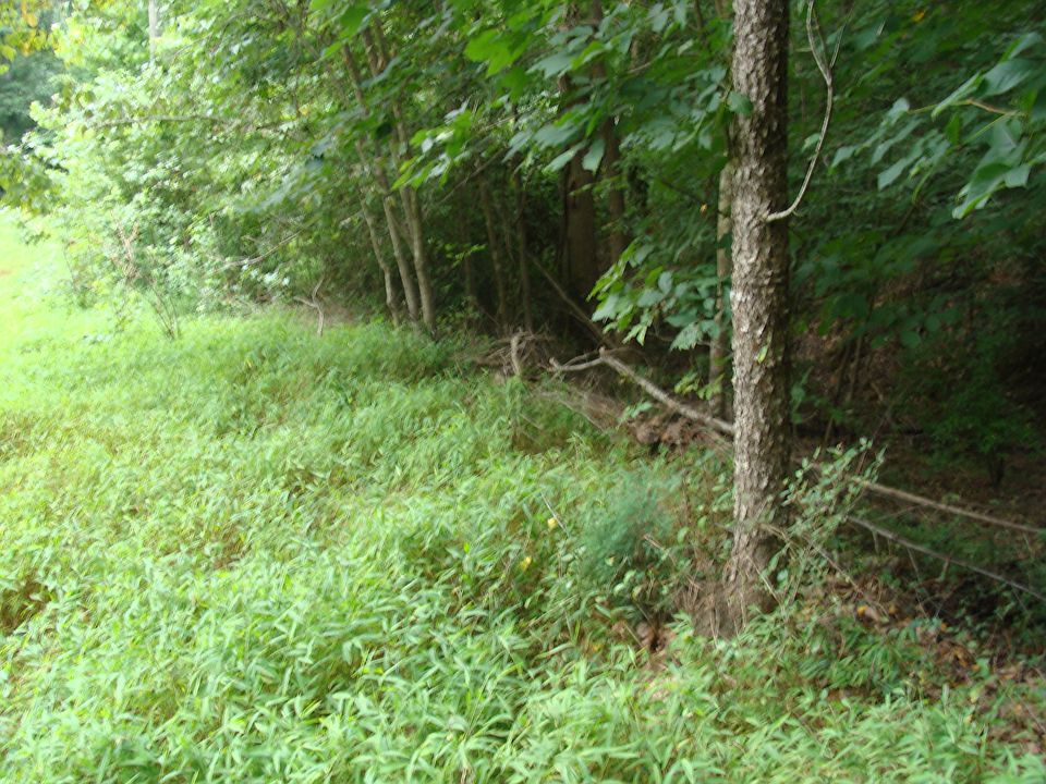 1st image of Songbird Ln Lot E