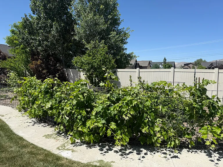 254 N Constitution Dr W — Photo 54