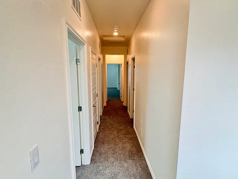 2711 Lindsey Springs St — Photo 20