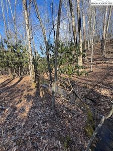 TBD Bald Mountain Road, West Jefferson, NC, 28694