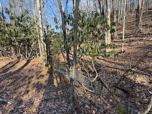 TBD Bald Mountain Road, West Jefferson, NC 28694