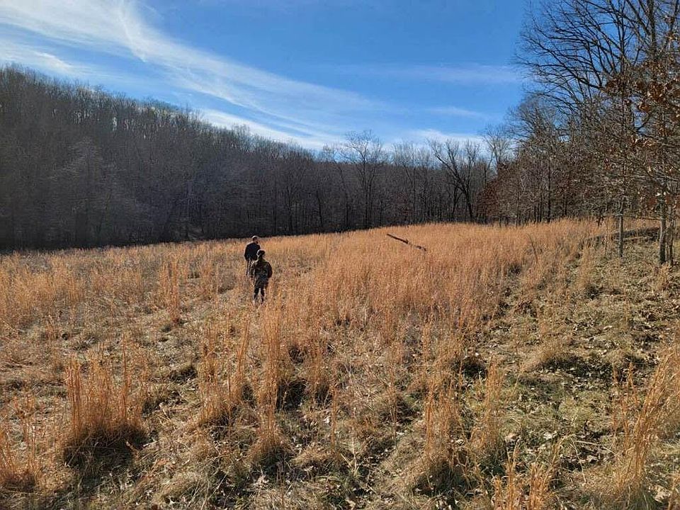 Bcr 532, Zalma, MO 63787 MLS 15386 Zillow