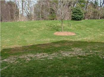 5th image of 8332 Jasonville Ct SE