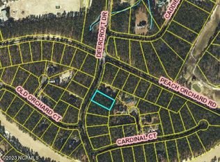 30 Deercroft Dr, Wagram, NC 28396