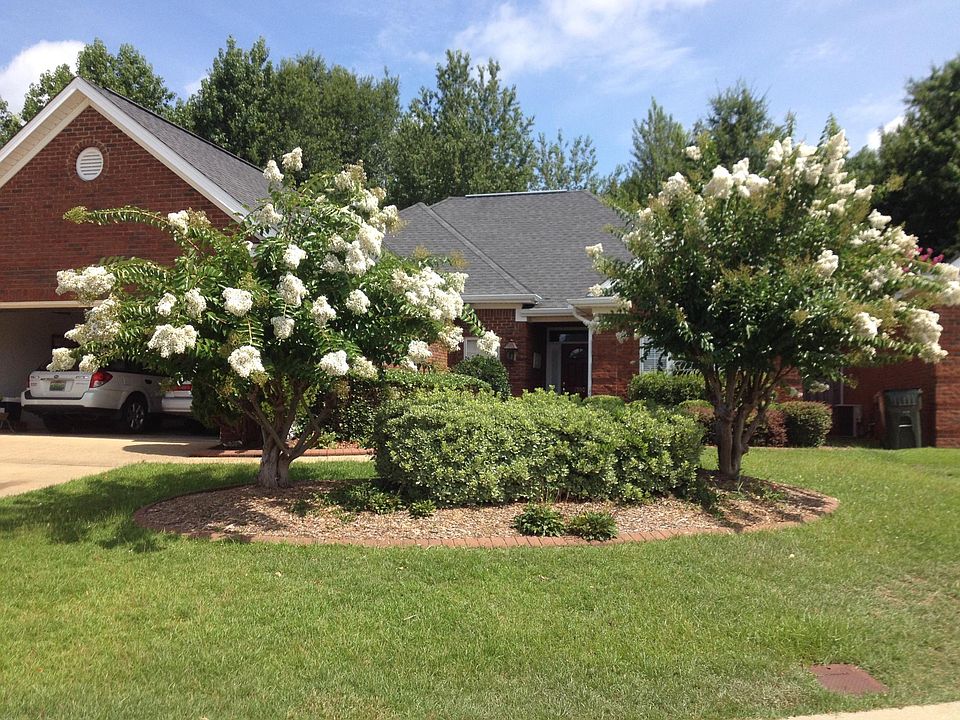 Front yard with flower blossom