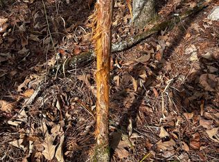 11 Southside Rd, Oden, AR 71961