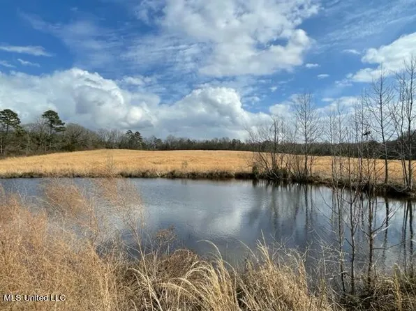 3228 King Rd, Forest, MS 39074