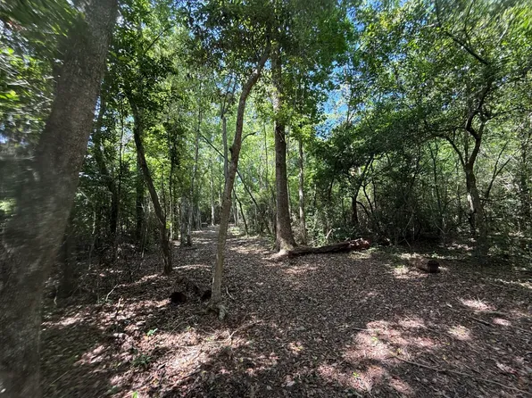 0 Wolf Ridge Rd, Mobile, AL 36618