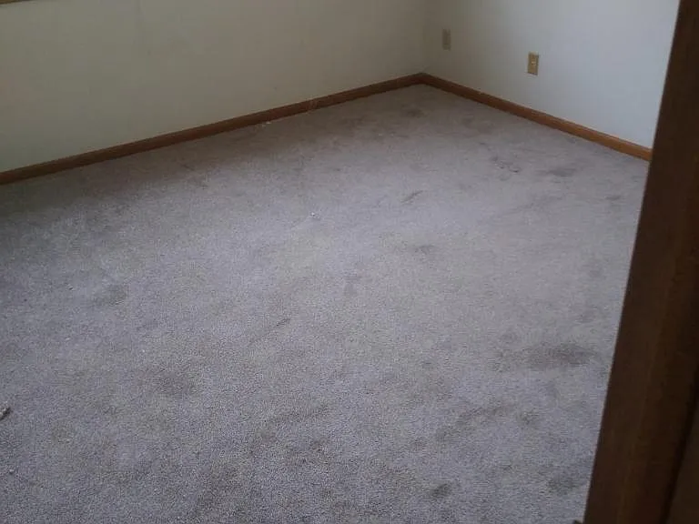 1333 Delta Dr — Photo 4