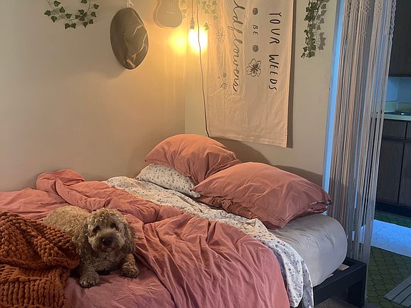 Living room/bedroom