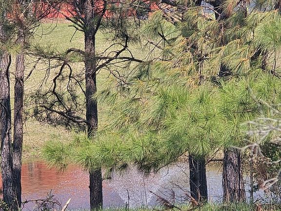 5th image of 252 County Road 303