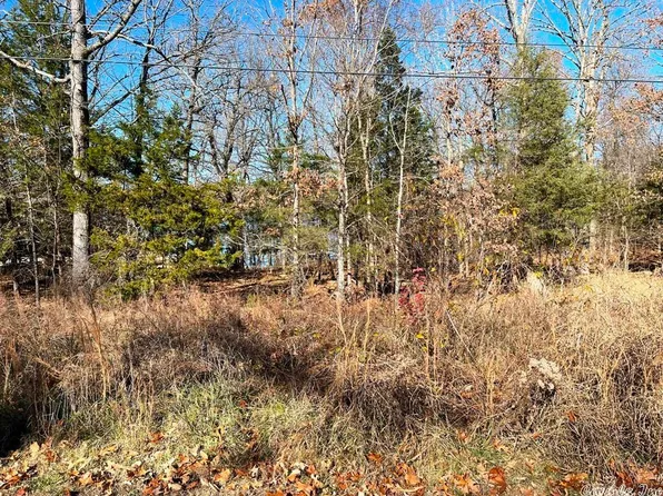 604 S Shore Dr, Horseshoe Bend, AR 72512